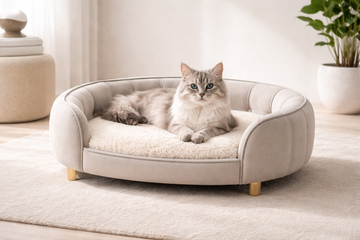 Beds and blankets for cats