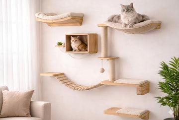 Furniture for cats