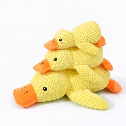 Calming duck for dogs