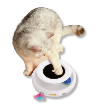 2-in-1 Interactive Feather Toy