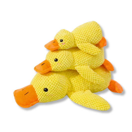 Calming duck for dogs