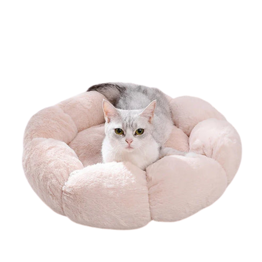 Winter Warm Pet Bed with Soft Cushion for cats