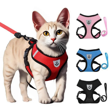 Escape-Proof Cat Harness Set
