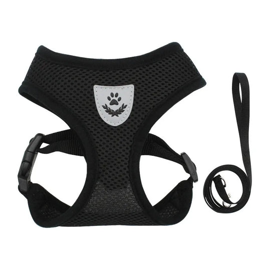 Escape-Proof Cat Harness Set