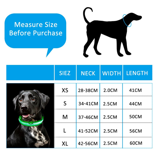 High-Visibility LED Safety Collar