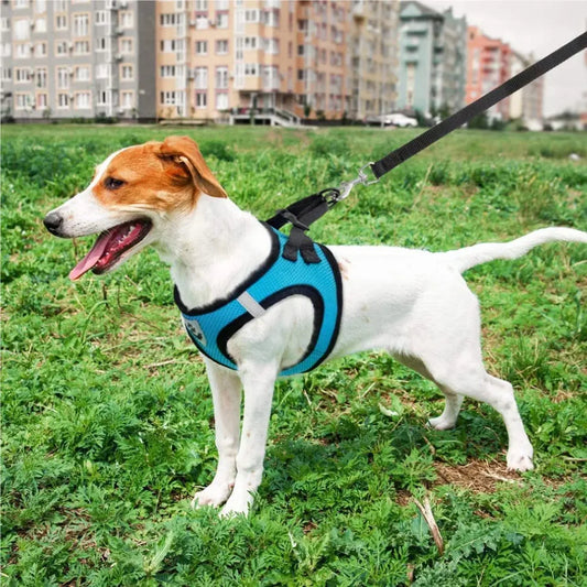 Breathable Mesh Walking Harness