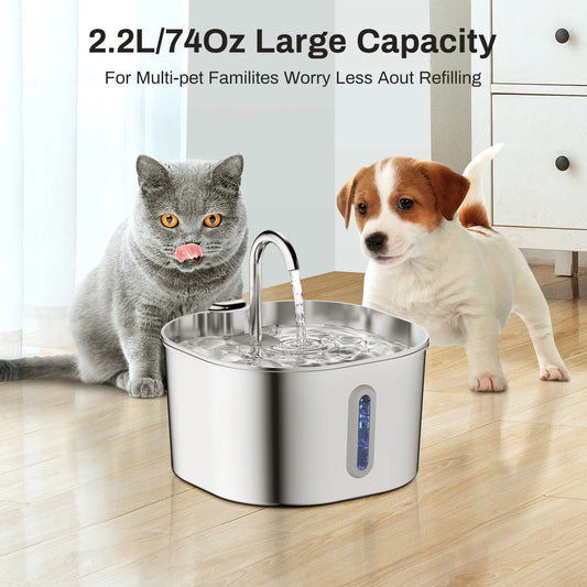 2.2L Stainless Steel Auto Fountain