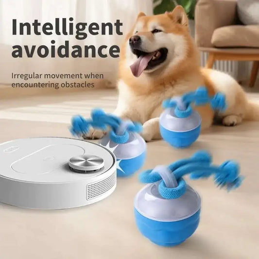 Interactive Motion-Activated Rolling Ball Toy for Dogs