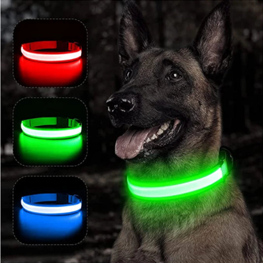 Rechargeable LED Glowing Collar