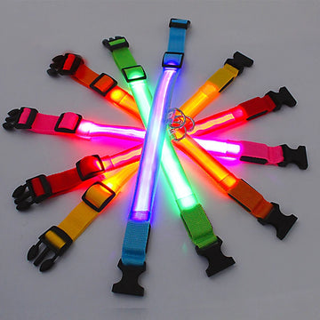 Rechargeable LED Glowing Collar