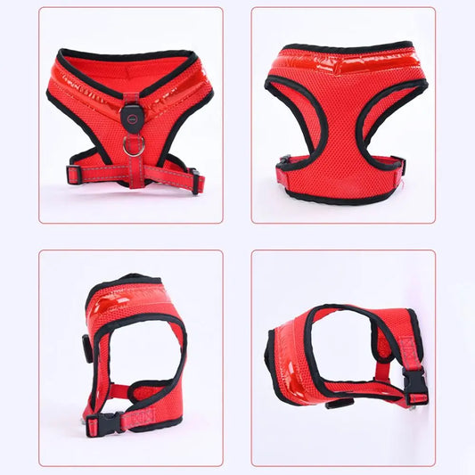 Rechargeable LED Safety Harness
