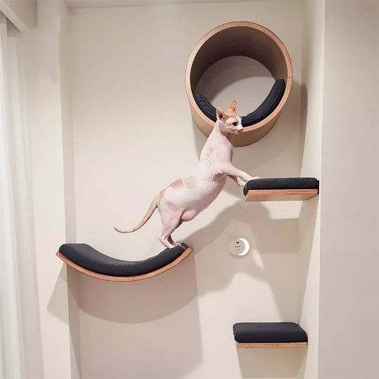 Wall-Mounted Cat Playground with Steps, Ladder & Hammock